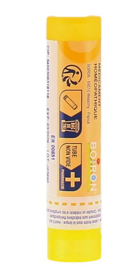 Rhus Toxicodendron 4CH granules Boiron - tube de 4g