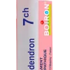 Rhus toxicodendron granules 7CH Boiron – tube 4 g