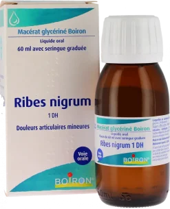 RIBES NIGRUM BOURGEONS Boiron - Flacon de macérat glycériné 60 ml