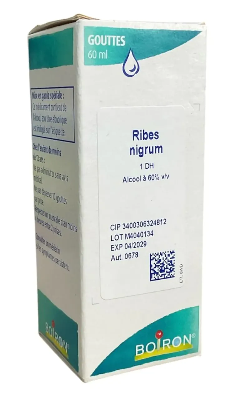 Ribes nigrum 1DH Boiron - flacon de 60ml