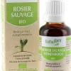 Rosier sauvage BIO Herbalgem - 30 ml