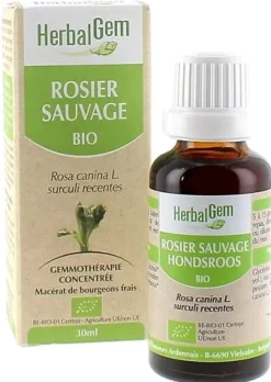 Rosier sauvage BIO Herbalgem - 30 ml