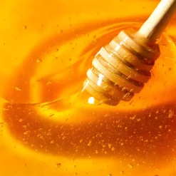 Rêve de miel stick lèvres hydratant Nuxe