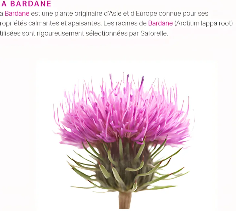 Saforelle Soin lavant doux toilette intime