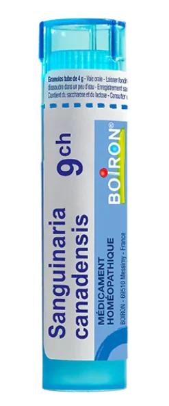 SANGUINARIA CANADENSIS granules Boiron - tube 4 g