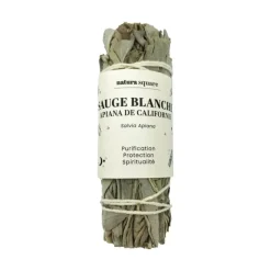 Sauge blanche Apiana de Californie Natura square - 1 fagot