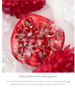Savon gingembre rouge Roger & Gallet