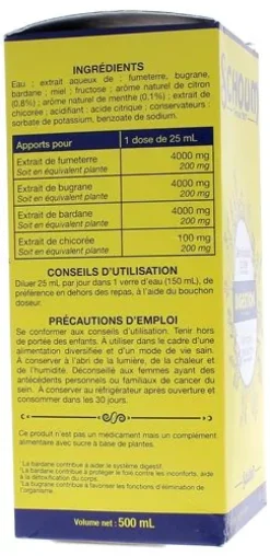 Schoum digestion arôme citron-menthe