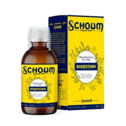 Schoum digestion arôme citron-menthe