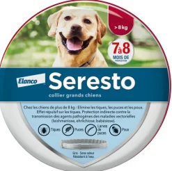Seresto collier antiparasitaire grands chiens Elanco – 1 collier