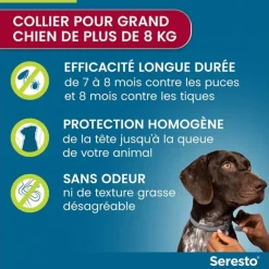 Seresto collier antiparasitaire grands chiens Elanco – 1 collier