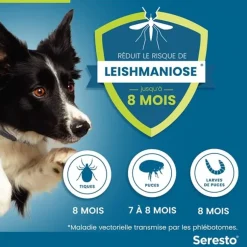 Seresto collier antiparasitaire grands chiens Elanco – 1 collier