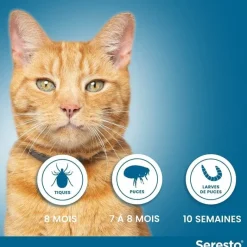 Seresto collier antiparasitaire chats Elanco
