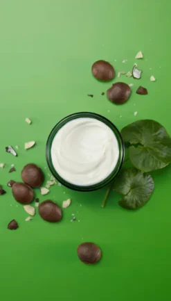 Skin Food Crème de nuit nourrissante Weleda - pot de 40ml