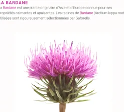 Soin intime et corporel Saforelle Miss