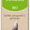 Sorbier bio Herbalgem - flacon de 30 ml