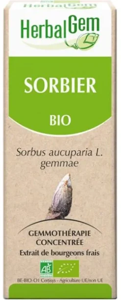 Sorbier bio Herbalgem - flacon de 30 ml