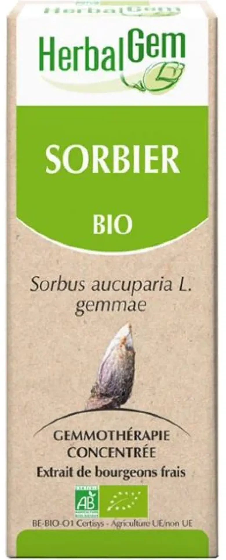 Sorbier bio Herbalgem - flacon de 30 ml