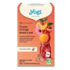 Soutien immunitaire Infusion à froid bio fraise-orange Yogi Tea - boite de 15 sachets
