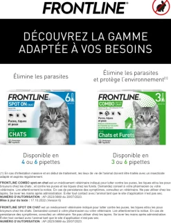 Spot On chat Frontline