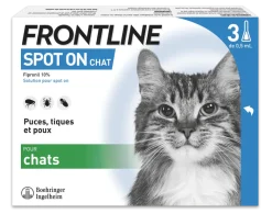 Spot On chat Frontline