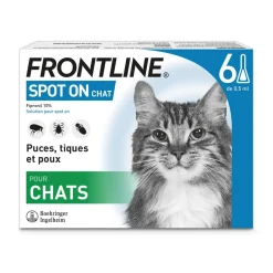 Spot On chat Frontline