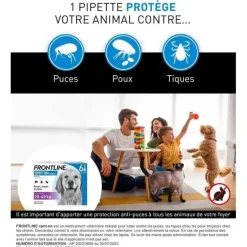 Spot On chien 20-40 kg Frontline