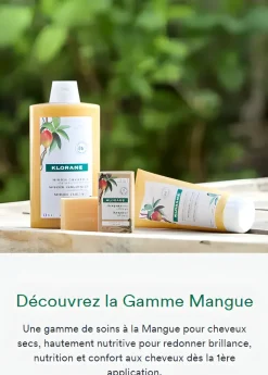 Spray nutrition cheveux secs huile à la mangue Klorane - spray de 100 ml