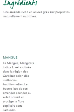 Spray nutrition cheveux secs huile à la mangue Klorane - spray de 100 ml