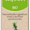 Séquoia bio Herbalgem - flacon de 30 ml