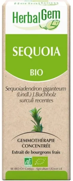 Séquoia bio Herbalgem - flacon de 30 ml