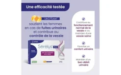 Sérélys inco control bon fonctionnement de la vessie Upsa - boite de 30 gélules