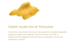 Stick lèvres hydratant Alvadiem - stick de 4g