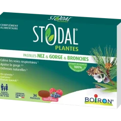 Stodal plantes pastilles nez gorge bronches Boiron - boite de 36 pastilles
