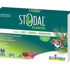 Stodal plantes pastilles nez gorge bronches Boiron - boite de 36 pastilles