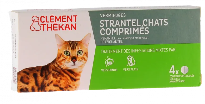 Strantel chats comprimé Clément Thékan