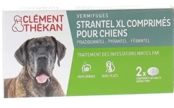 Strantel XL chiens vermifuges goût viande Clement Thekan - boîte de 2 comprimés sécables