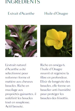 Sublime Curl Crème bouclante nutritive René Furterer - flacon-pompe de 100 ml