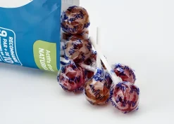 Sucettes mal des transports Alvityl - sachet de 10 sucettes