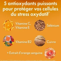 Sun Expert protection antioxydante Oenobiol - boite de 60 capsules