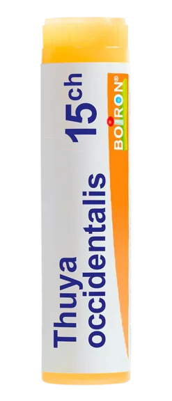 THUYA OCCIDENTALIS globules Boiron - Dose 1 g