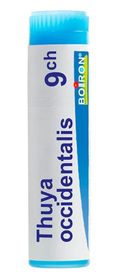 THUYA OCCIDENTALIS globules Boiron - Dose 1 g