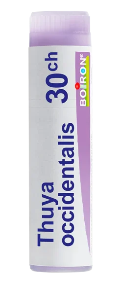 THUYA OCCIDENTALIS globules Boiron - Dose 1 g