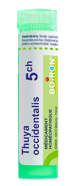 THUYA OCCIDENTALIS granules Boiron - tube 4 g