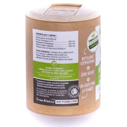 Thé vert Bio Ecoresponsable Nat&Form - Boite de 200 gélules