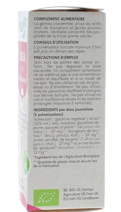 Urigem bio confort urinaire Herbalgem - spray de 15 ml