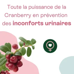 Urisanol cranberry entretien Naturactive - boîte de 20 sticks