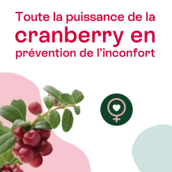 Urisanol cranberry entretien Naturactive - boîte de 20 sticks