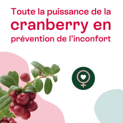Urisanol Naturactive Confort urinaire Entretien Bio – 30 gélules