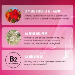 Veinoflux Jambes légères et toniques Arkopharma